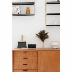 Andrée Jardin Staubwedel Tradition Buchenholz/Straussenfeder 7 Andrée Jardin Staubwedel Tradition Buchenholz/Straussenfeder -Andrée Jardin store Staubwedel Tradition Buchenholz Straussenfeder 3 600x600 ID328650 ba348089aa2b62a7c835614077dd0be5